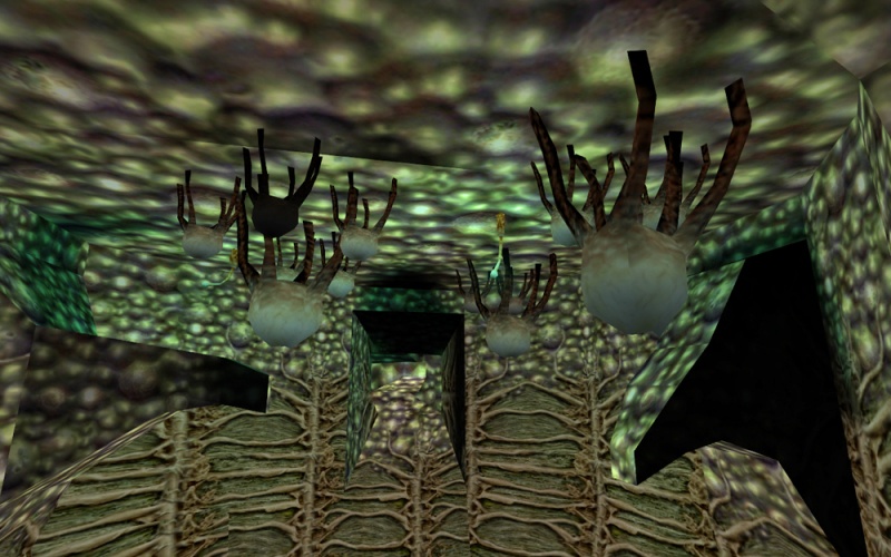 Plik:Fungi ceiling xen.jpg
