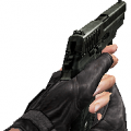 P228 ds.png