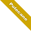 Polecane.png