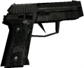 W p228 ds.png